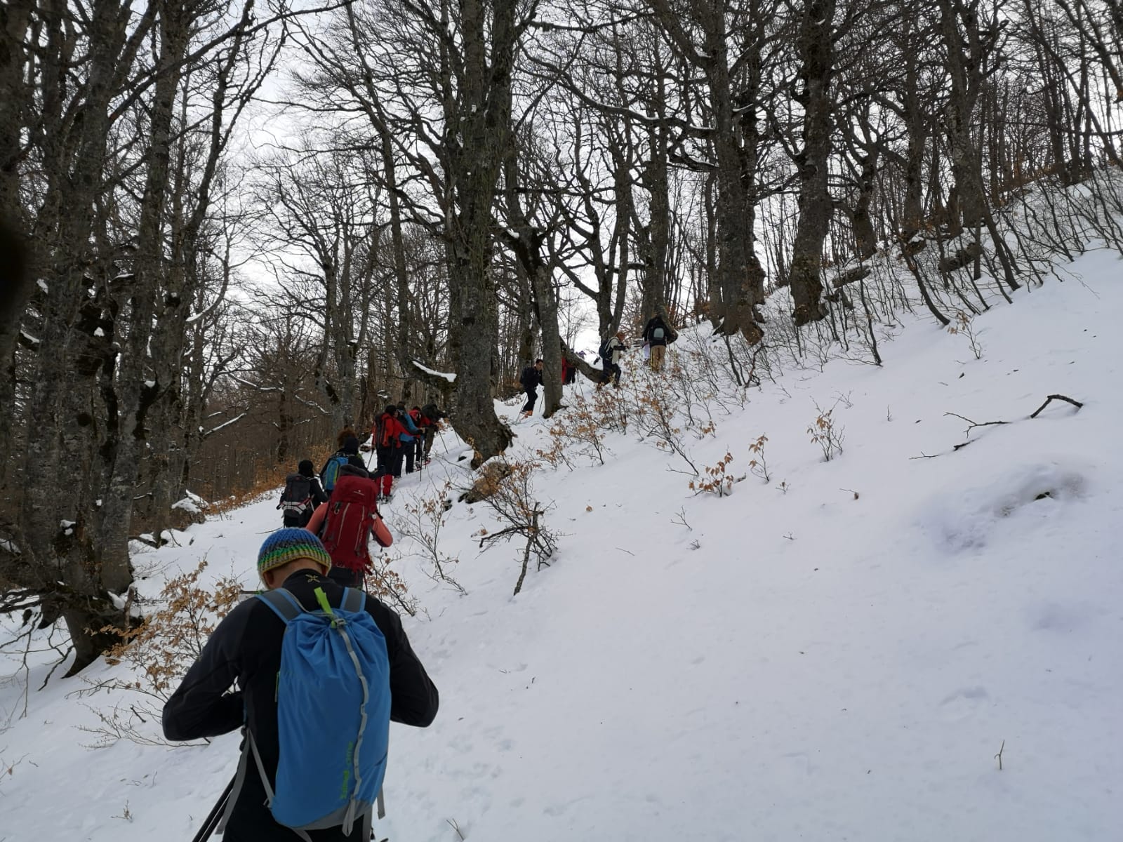 Abruzzo Snowshoe - Snowshoeing in the National Park Experience BellaVita