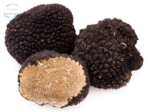 The Complete Truffle Guide in Italy Experience BellaVita