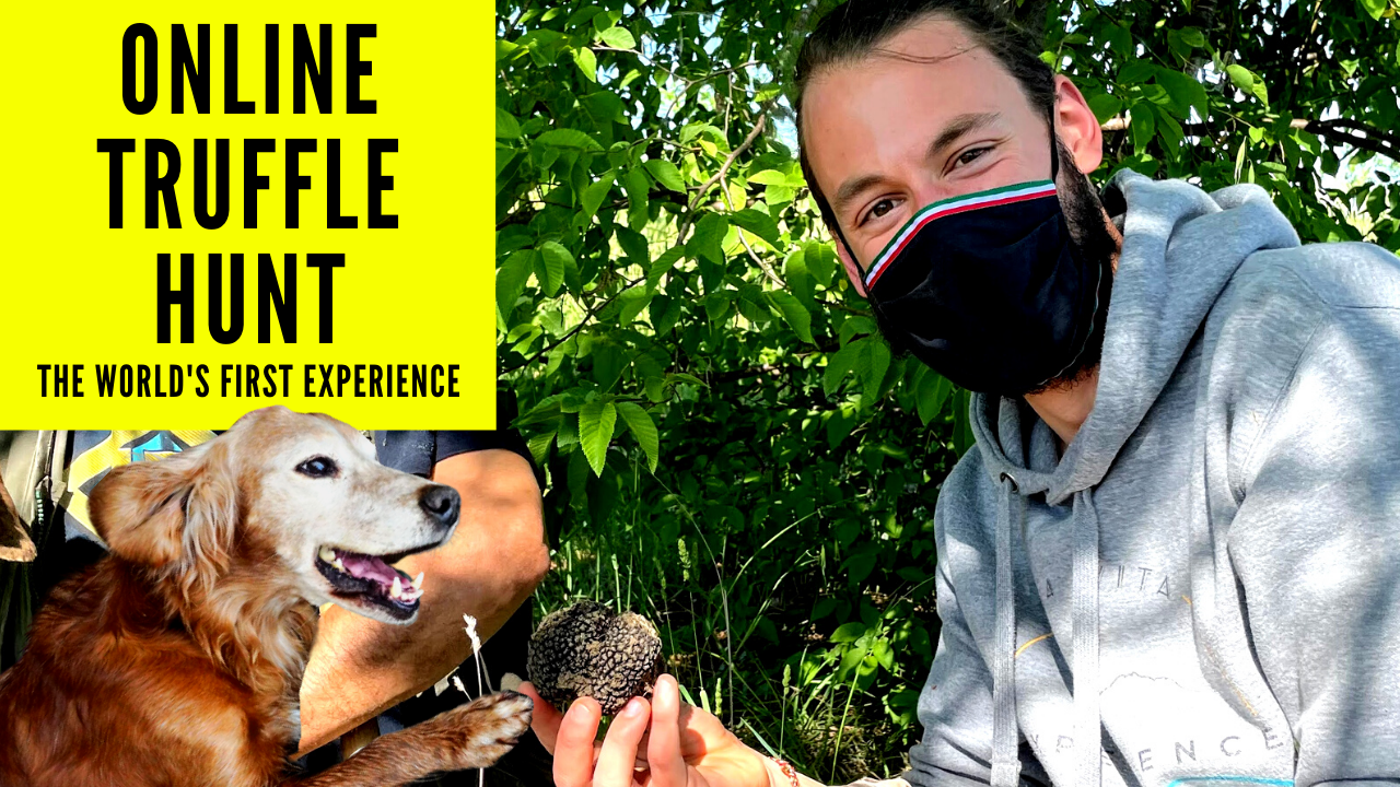 The World's First Online Truffle Hunt Experience Experience BellaVita