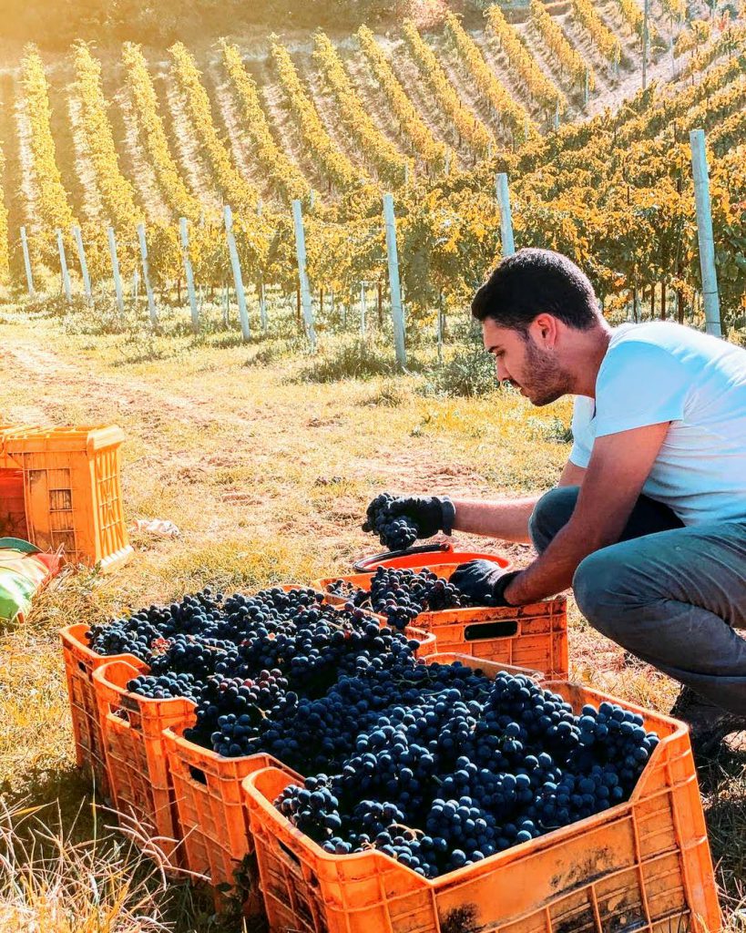 Zappacosta Winery Chieti - Abruzzo Niche Wineries Experience BellaVita