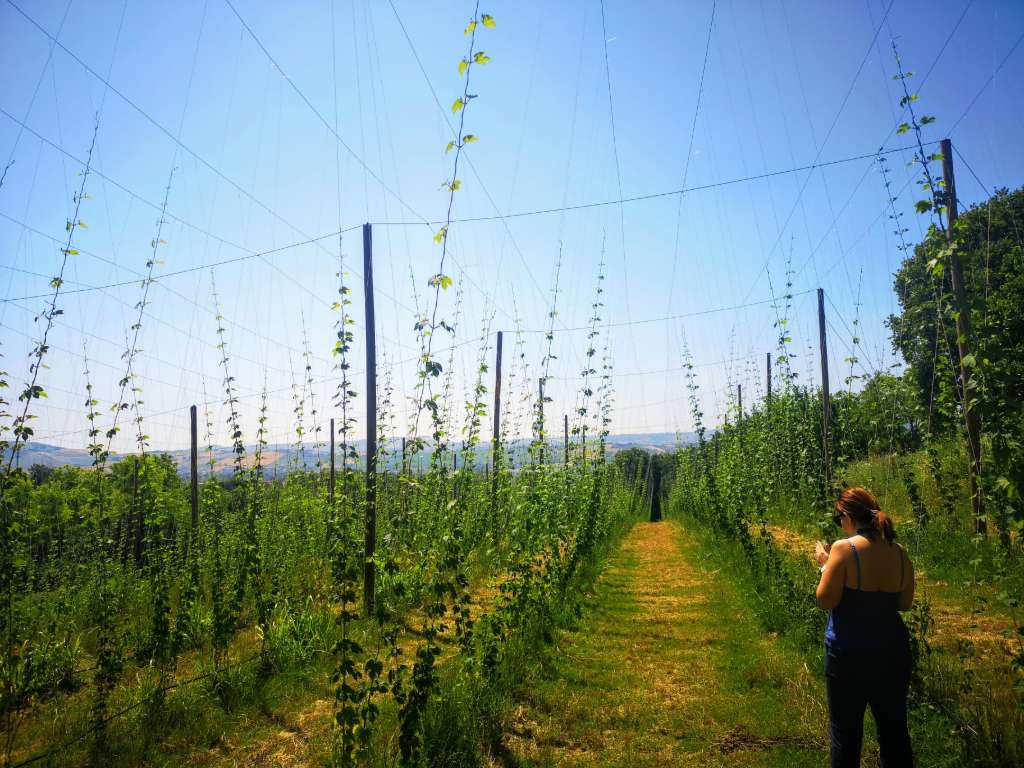 Abruzzo in June: Travel Tips, Weather, Food & Wine Experience BellaVita