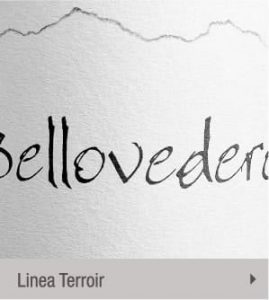 La Valentina Winery, Pescara - Abruzzo's Greatest Wineries Experience BellaVita