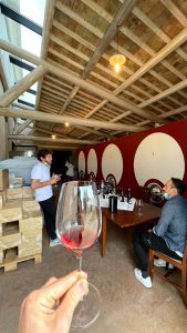 Famiglia Febo Winery Spoltore - Abruzzo's Genuine Winery Experience BellaVita