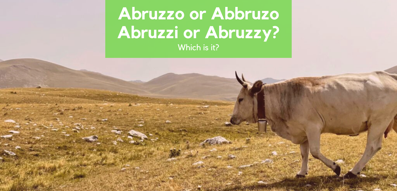 Abruzzo or Abruzzi? Abruzzy or Abruzzos? Which is the right name?