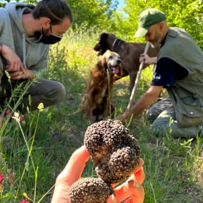 truffle hunt experience in abruzzo italy