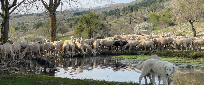 Abruzzo in April