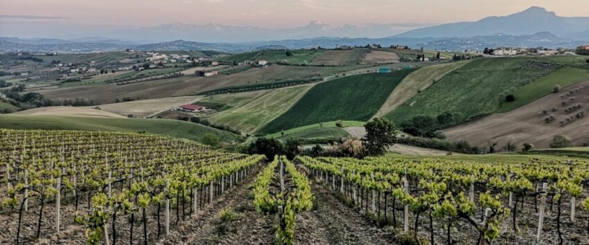 Abruzzo Wins the Prestigious Wine Star Award as Wine Region of the Year 2022