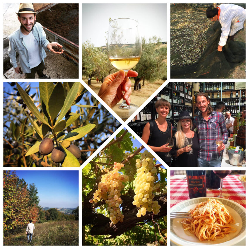Secrets of the Italian Pantry Unveiled: 10 Essential Ingredients Every Italian Swears By